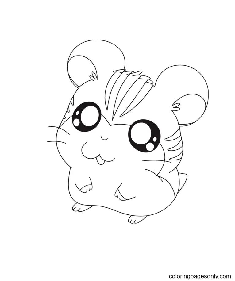 Çocuklar İçin Hamster Boyama Sayfaları 
