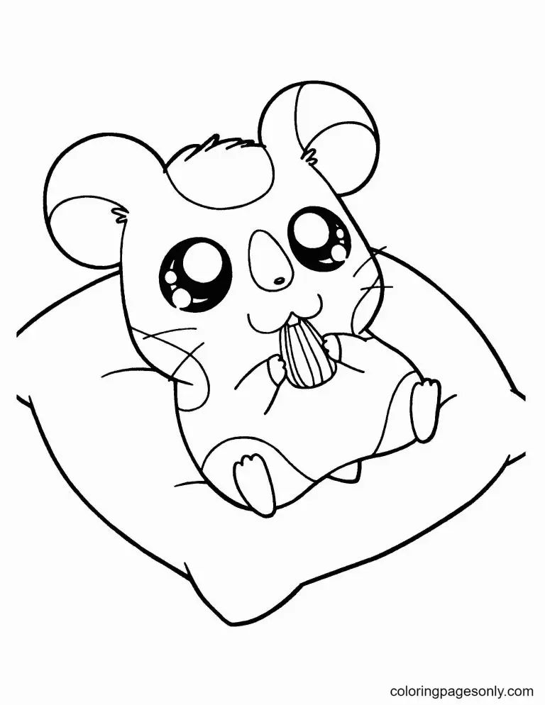 Çocuklar İçin Hamster Boyama Sayfaları 