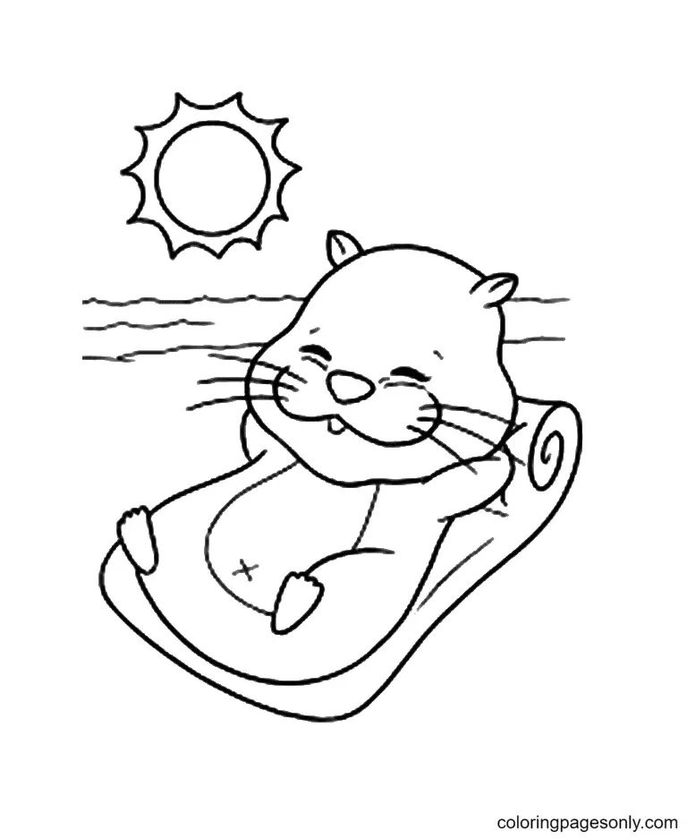 Çocuklar İçin Hamster Boyama Sayfaları 
