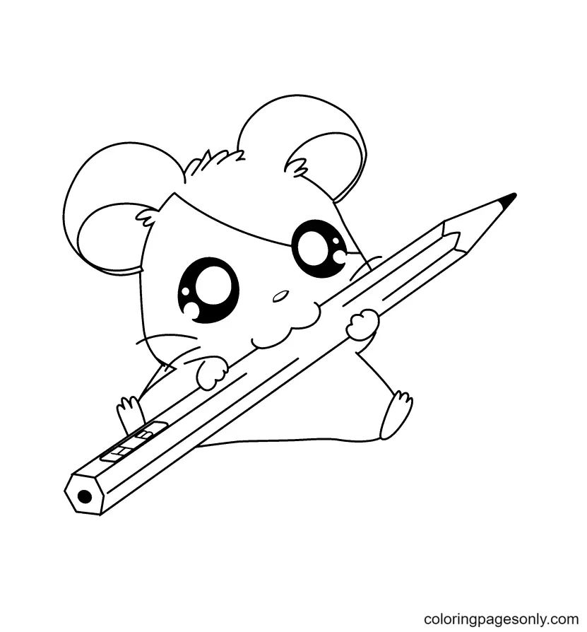 Çocuklar İçin Hamster Boyama Sayfaları 