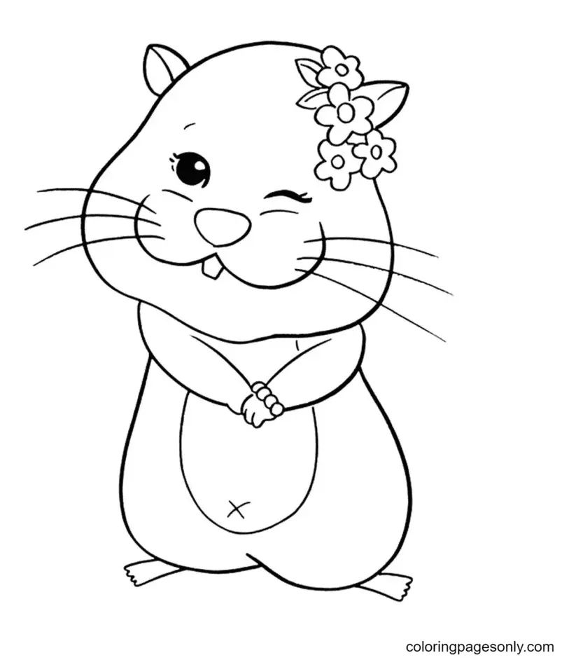Çocuklar İçin Hamster Boyama Sayfaları 
