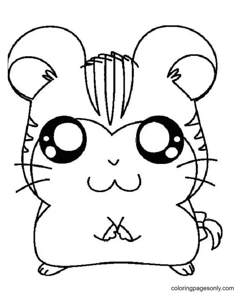 Çocuklar İçin Hamster Boyama Sayfaları 