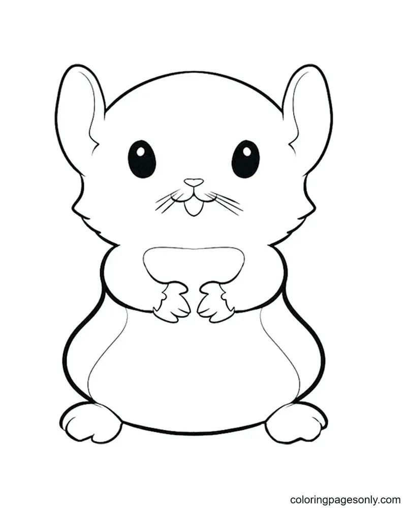 Çocuklar İçin Hamster Boyama Sayfaları 