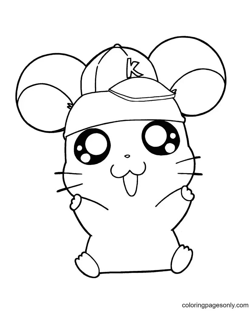 Çocuklar İçin Hamster Boyama Sayfaları 
