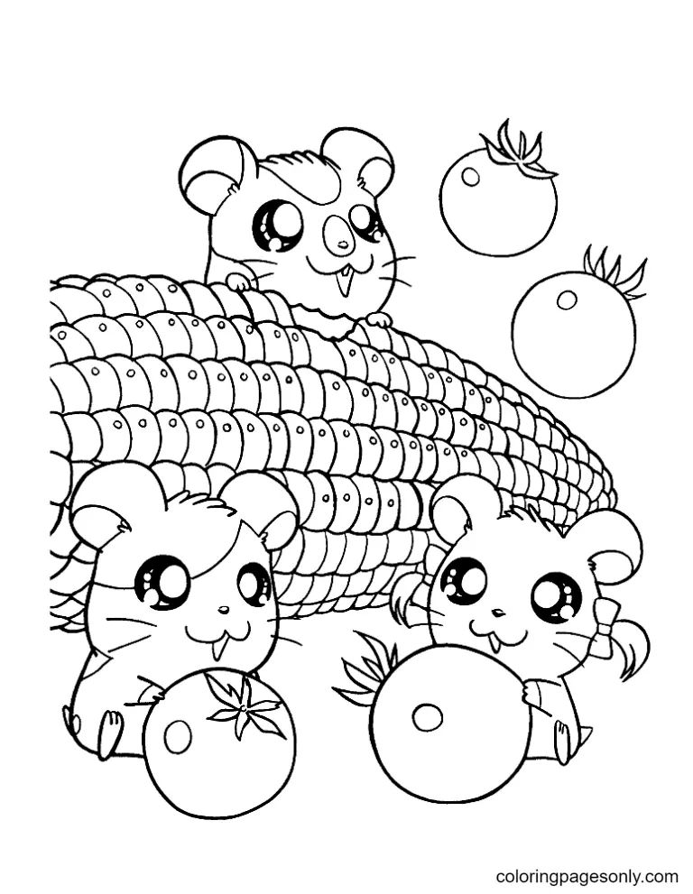 Çocuklar İçin Hamster Boyama Sayfaları 