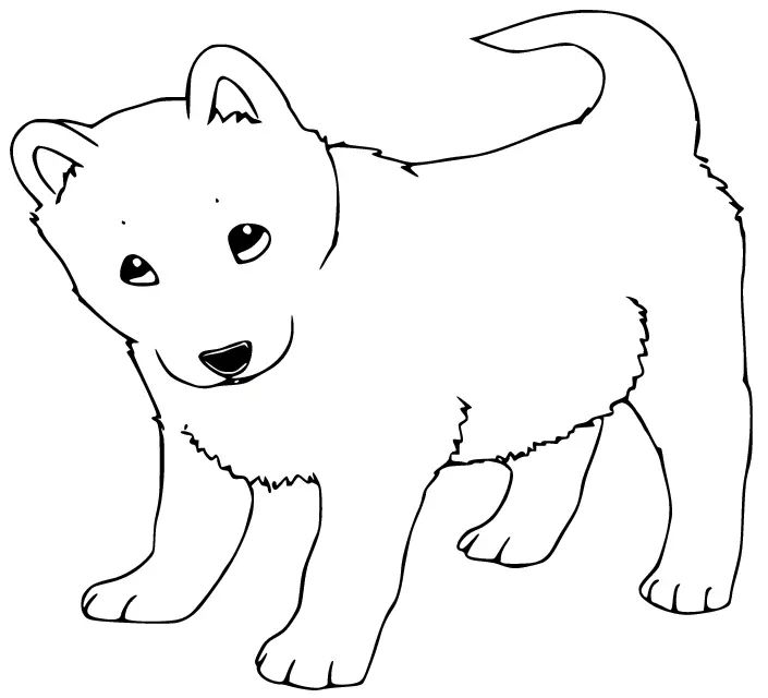 Çocuklar İçin Husky-Köpek Boyama Sayfaları 