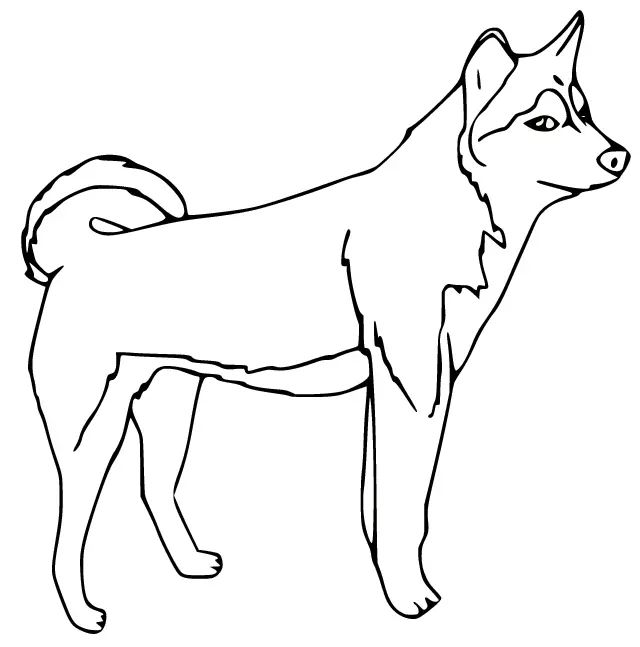Çocuklar İçin Husky-Köpek Boyama Sayfaları 