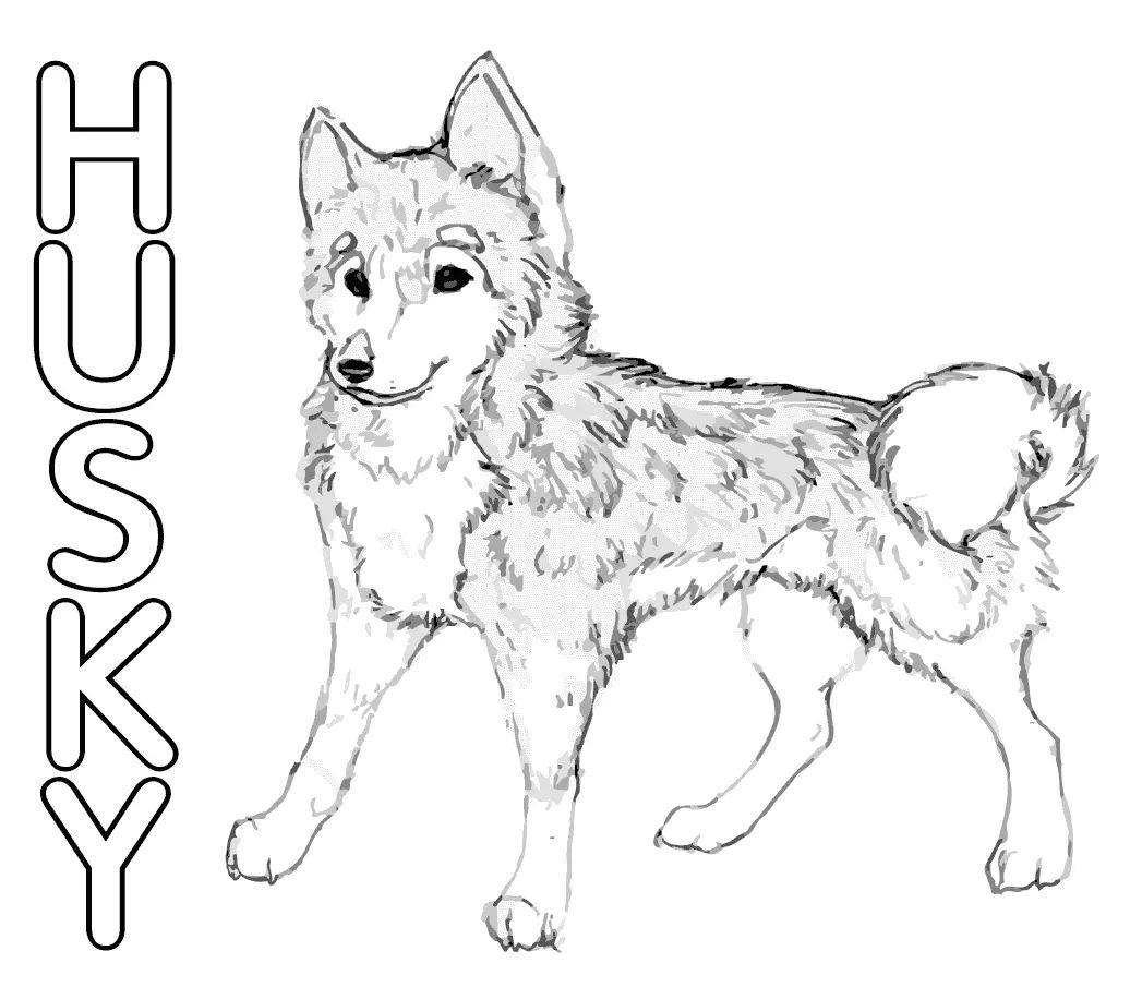 Çocuklar İçin Husky-Köpek Boyama Sayfaları 