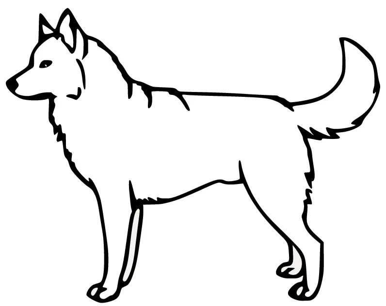 Çocuklar İçin Husky-Köpek Boyama Sayfaları 