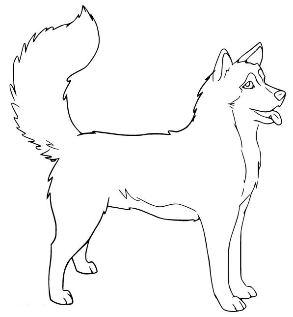 Çocuklar İçin Husky-Köpek Boyama Sayfaları 