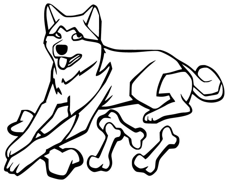 Çocuklar İçin Husky-Köpek Boyama Sayfaları 