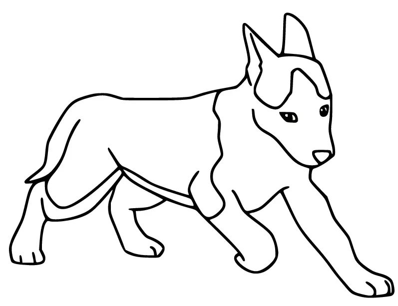Çocuklar İçin Husky-Köpek Boyama Sayfaları 