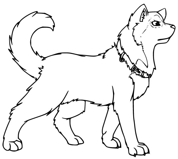 Çocuklar İçin Husky-Köpek Boyama Sayfaları 