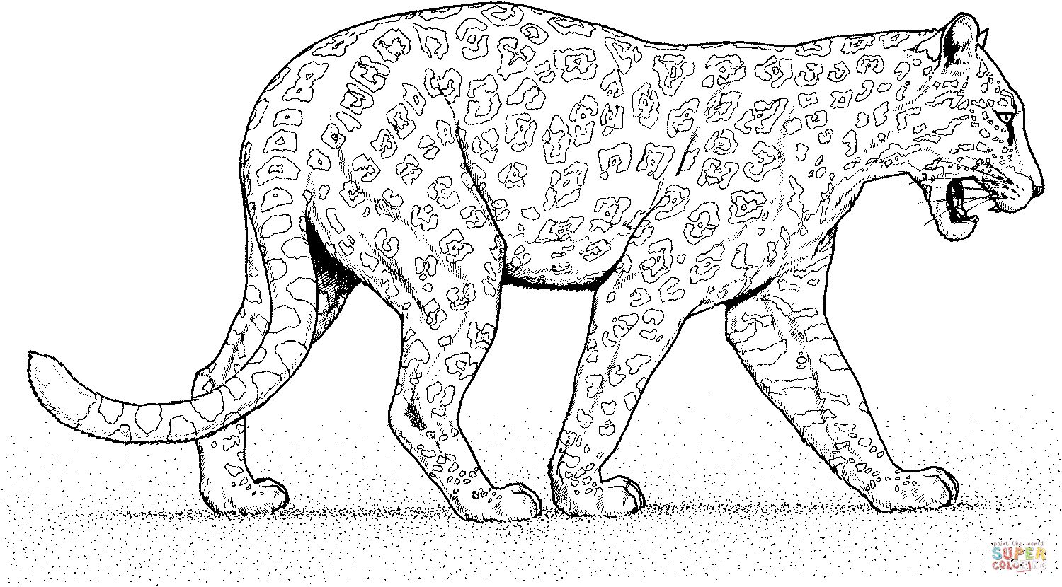 Çocuklar İçin Jaguar Boyama Sayfaları 