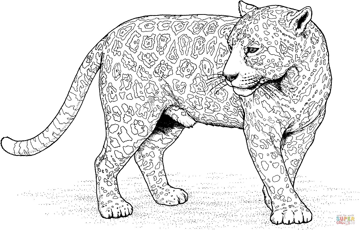 Çocuklar İçin Jaguar Boyama Sayfaları 