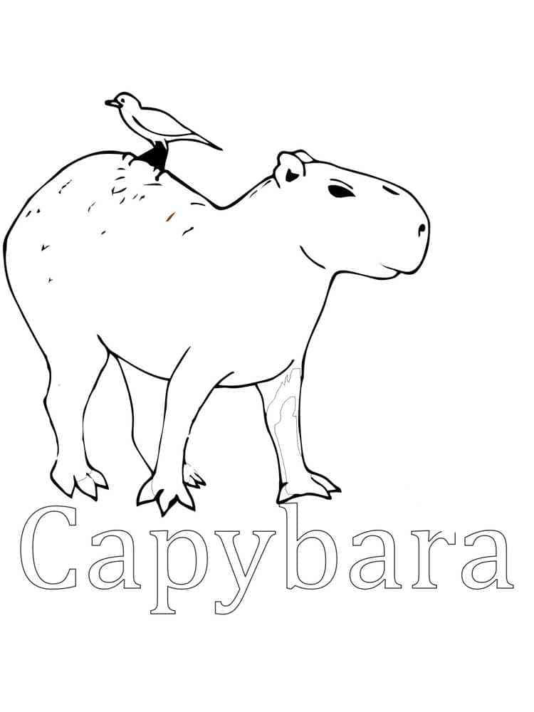 Çocuklar İçin Kapibara Boyama Sayfaları 