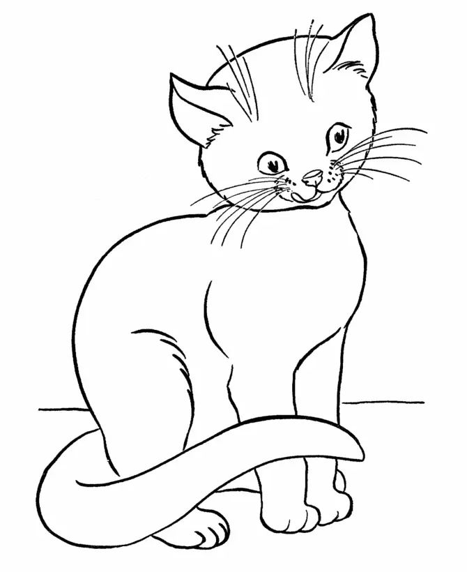 Çocuklar İçin Kedi Boyama Sayfaları 