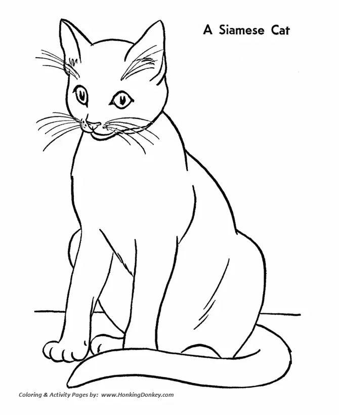 Çocuklar İçin Kedi Boyama Sayfaları 