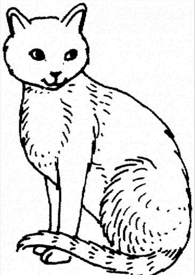 Çocuklar İçin Kedi Boyama Sayfaları 