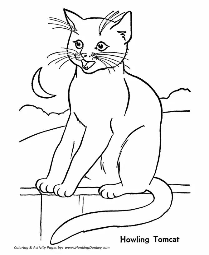 Çocuklar İçin Kedi Boyama Sayfaları 