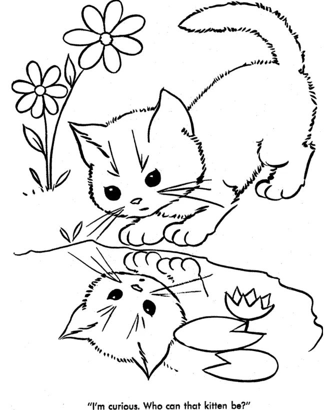 Çocuklar İçin Kedi Boyama Sayfaları 