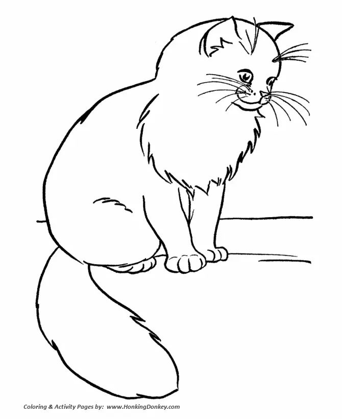Çocuklar İçin Kedi Boyama Sayfaları 