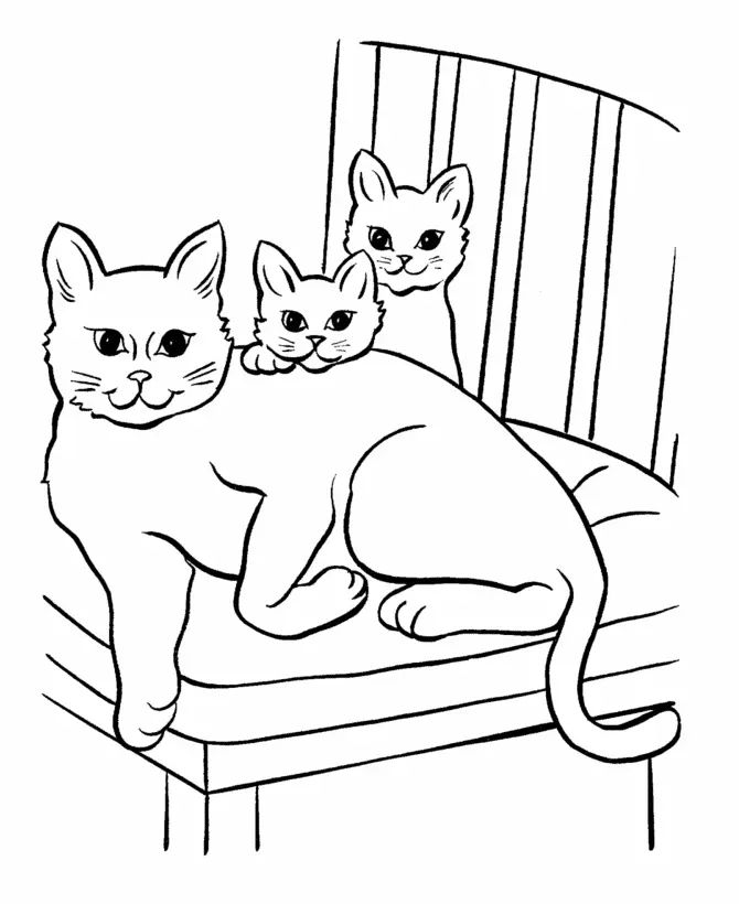 Çocuklar İçin Kedi Boyama Sayfaları 