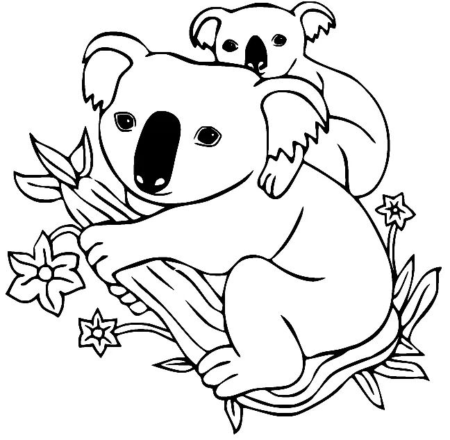 Çocuklar İçin Koala Boyama Sayfaları 
