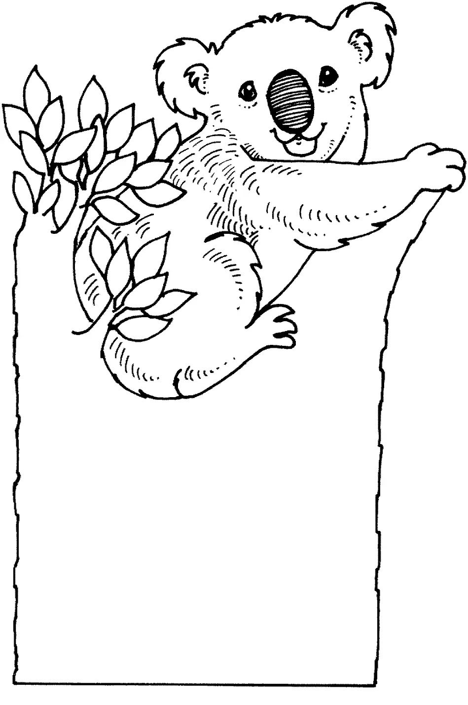 Çocuklar İçin Koala Boyama Sayfaları 