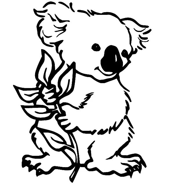 Çocuklar İçin Koala Boyama Sayfaları 