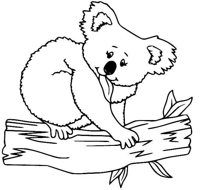 Çocuklar İçin Koala Boyama Sayfaları 