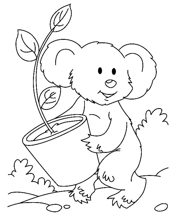 Çocuklar İçin Koala Boyama Sayfaları 