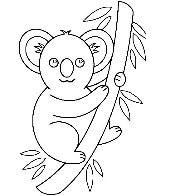 Çocuklar İçin Koala Boyama Sayfaları 