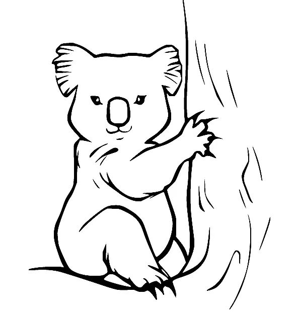 Çocuklar İçin Koala Boyama Sayfaları 