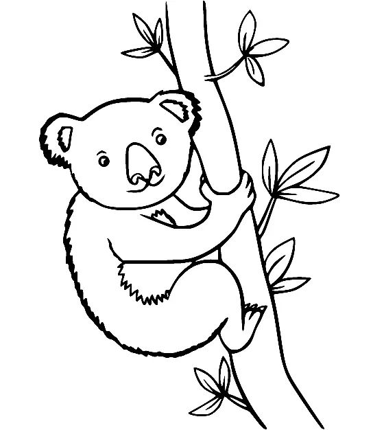 Çocuklar İçin Koala Boyama Sayfaları 