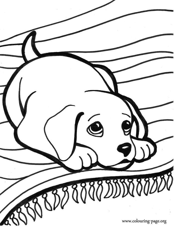 Çocuklar İçin Köpek Boyama Sayfaları 
