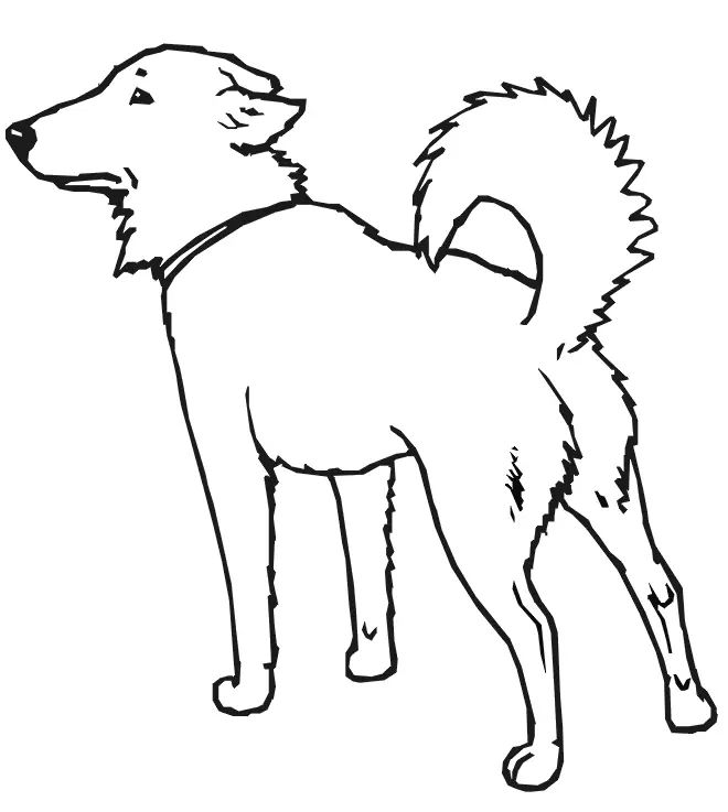 Çocuklar İçin Köpek Boyama Sayfaları 