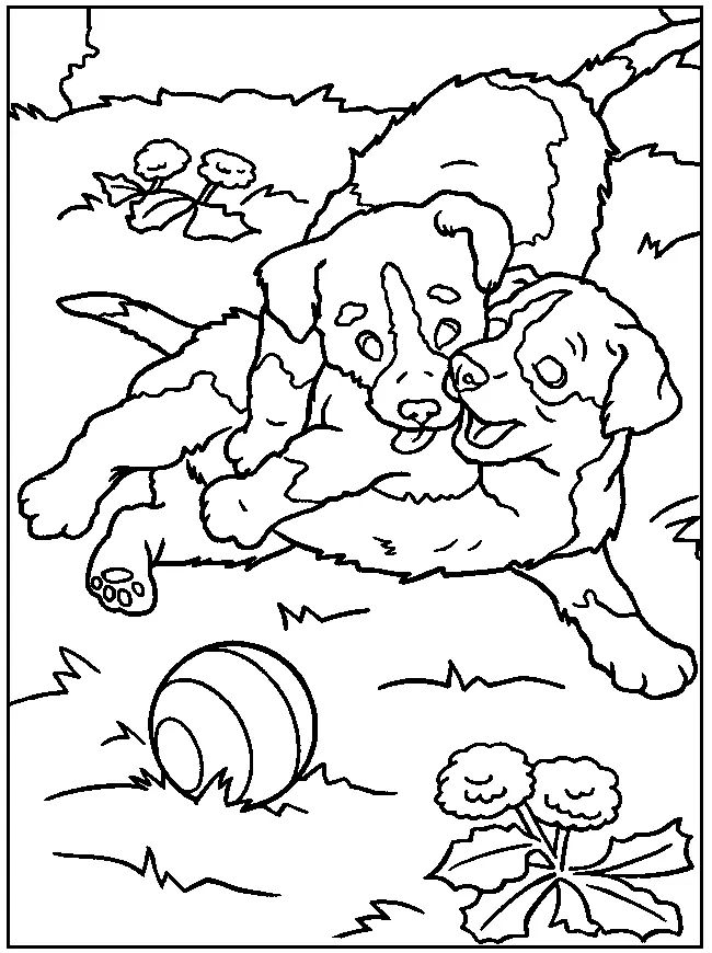 Çocuklar İçin Köpek Boyama Sayfaları 