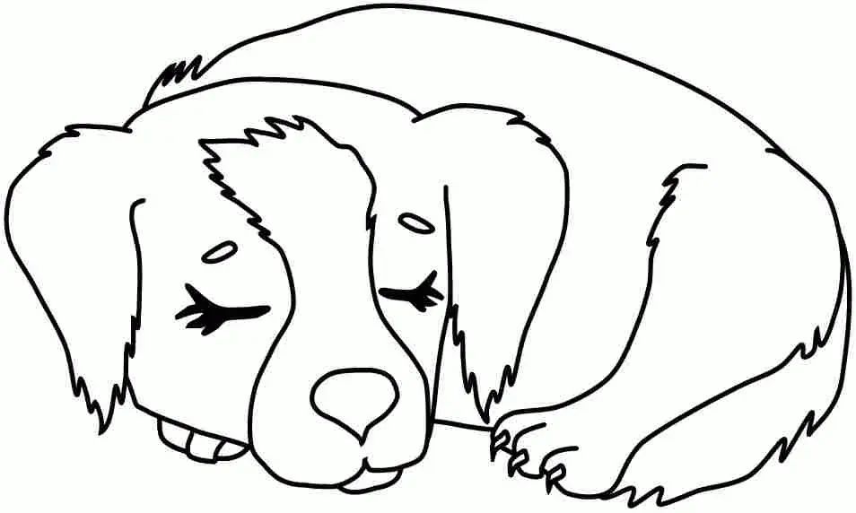 Çocuklar İçin Köpek Boyama Sayfaları 