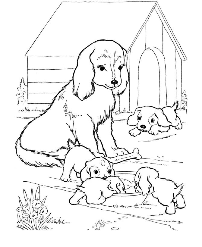 Çocuklar İçin Köpek Boyama Sayfaları 