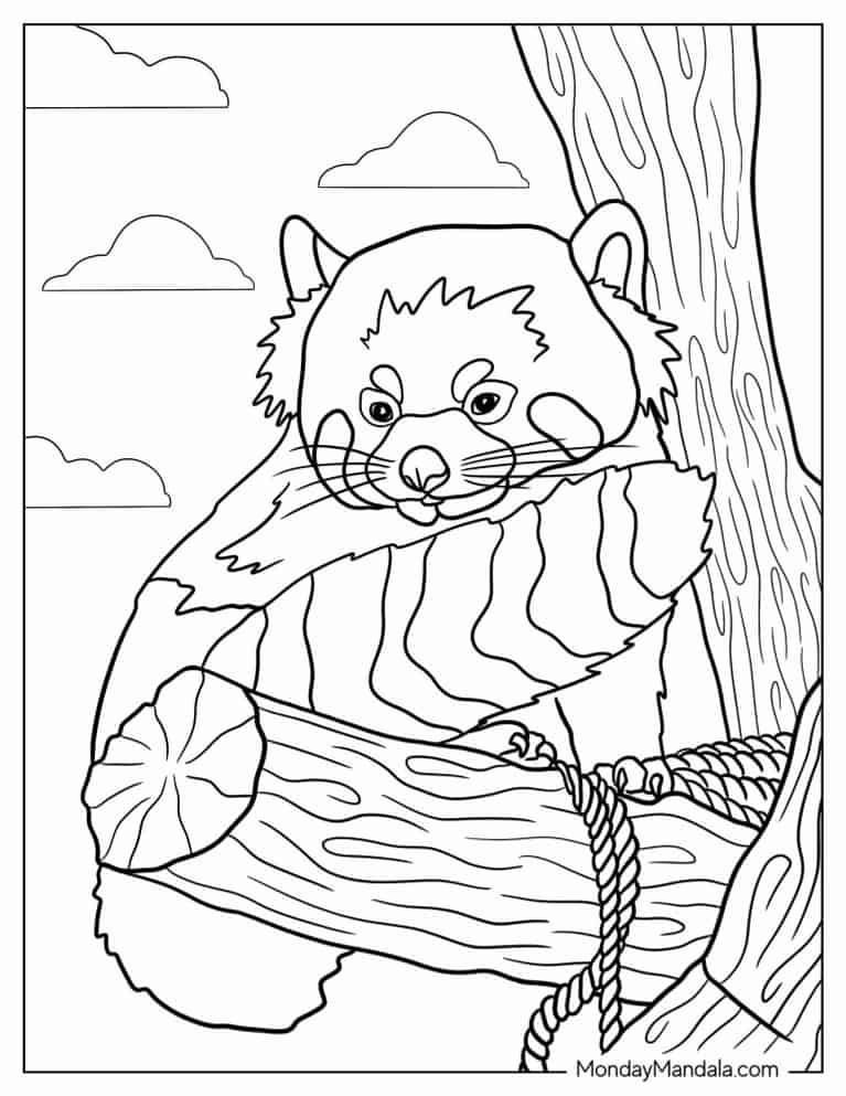 Çocuklar İçin Kırmızı-Panda Boyama Sayfaları 