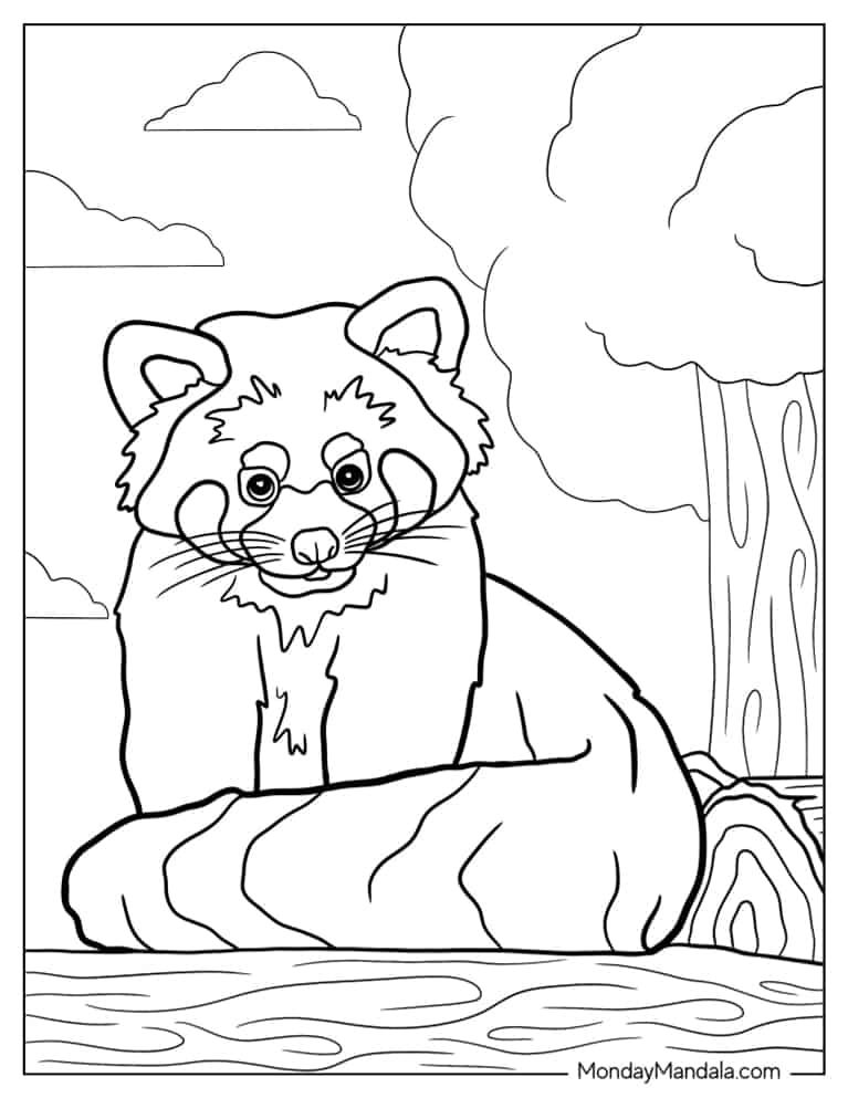 Çocuklar İçin Kırmızı-Panda Boyama Sayfaları 