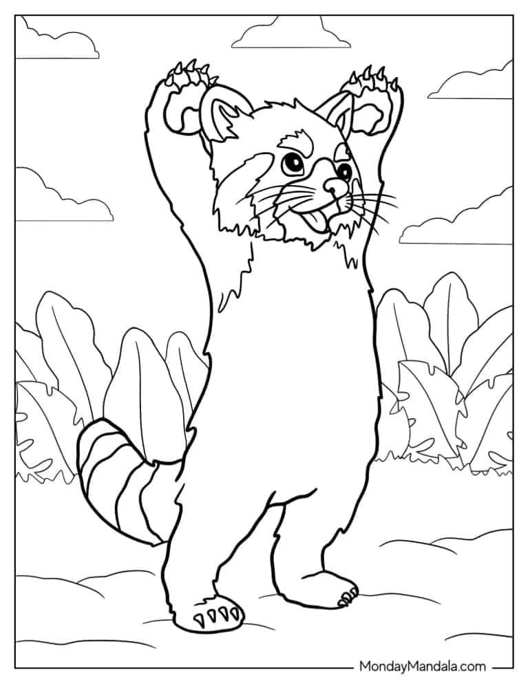 Çocuklar İçin Kırmızı-Panda Boyama Sayfaları 