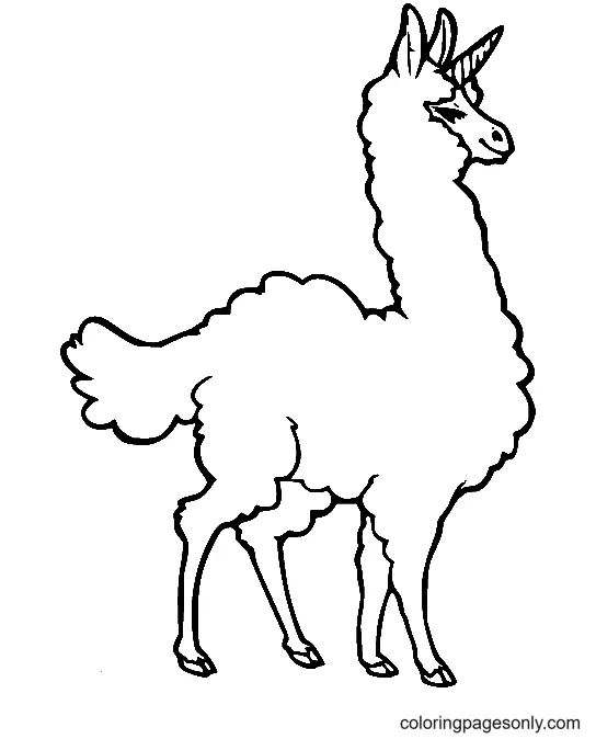 Çocuklar İçin Lama Boyama Sayfaları 