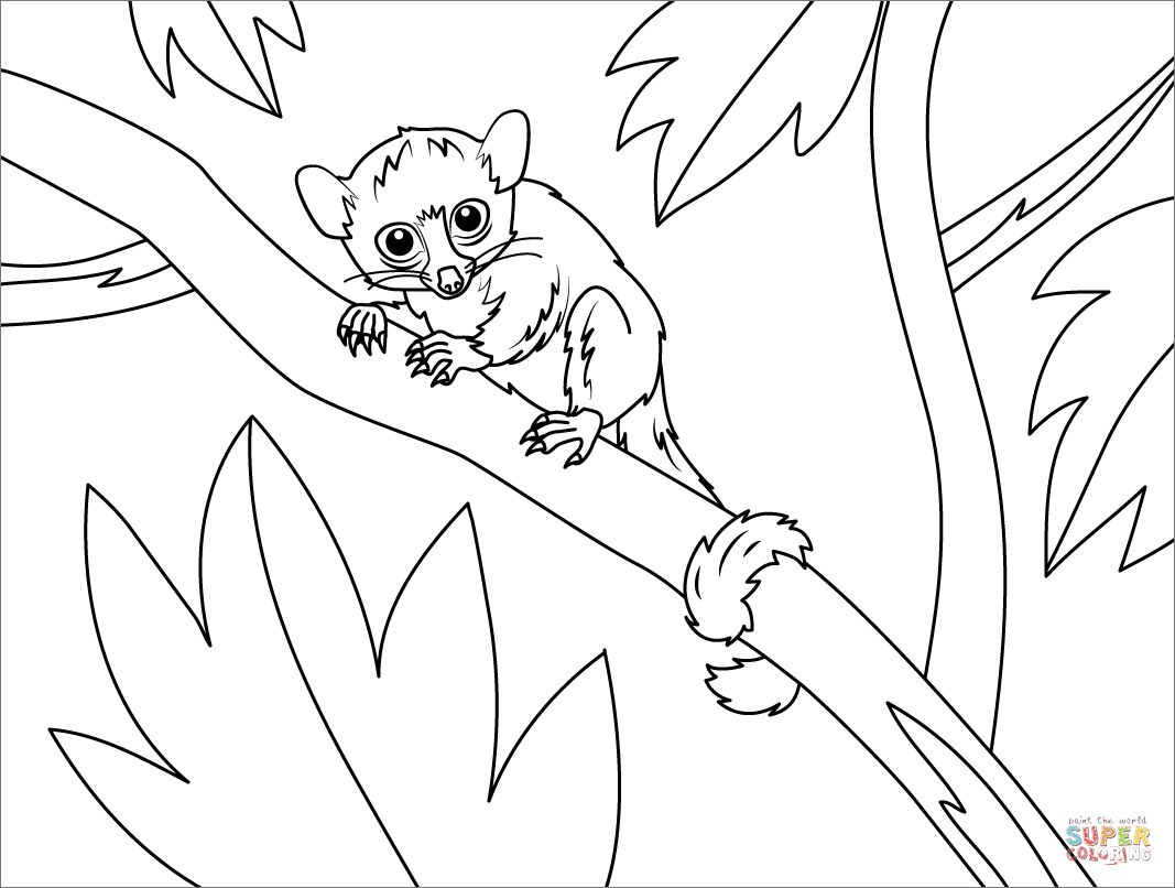 Çocuklar İçin Lemur Boyama Sayfaları 