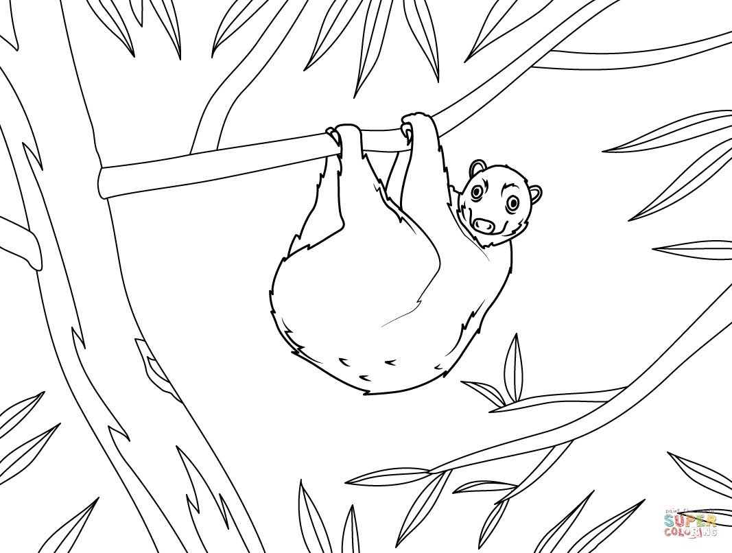 Çocuklar İçin Lemur Boyama Sayfaları 