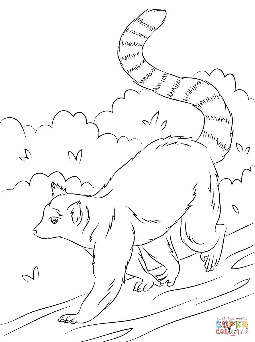Çocuklar İçin Lemur Boyama Sayfaları 