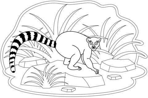 Çocuklar İçin Lemur Boyama Sayfaları 