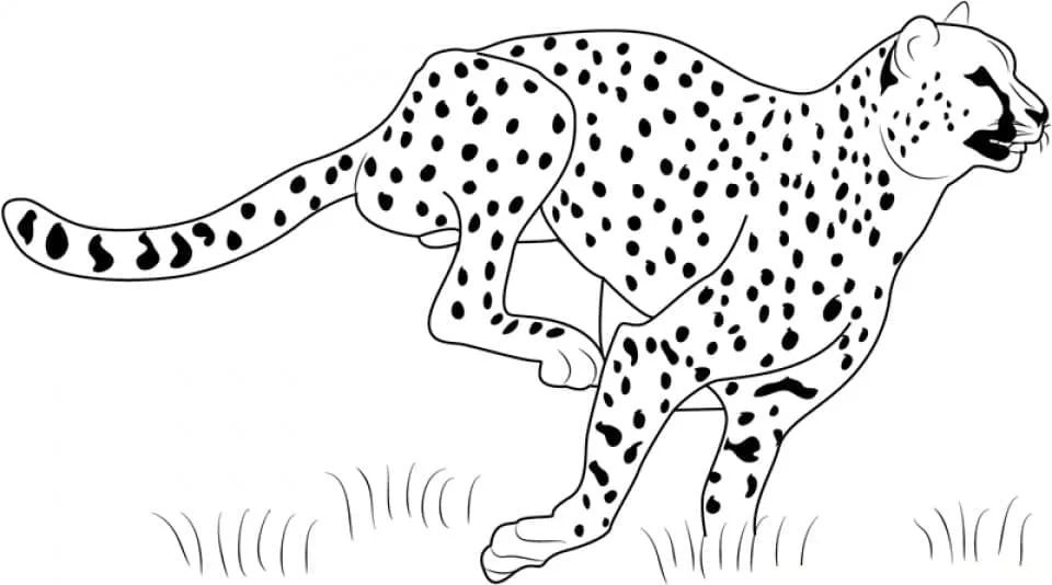 Çocuklar İçin Leopar Boyama Sayfaları 