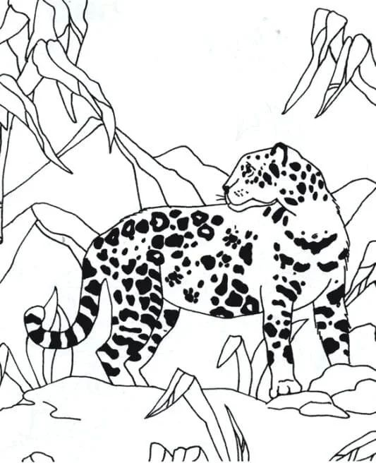 Çocuklar İçin Leopar Boyama Sayfaları 